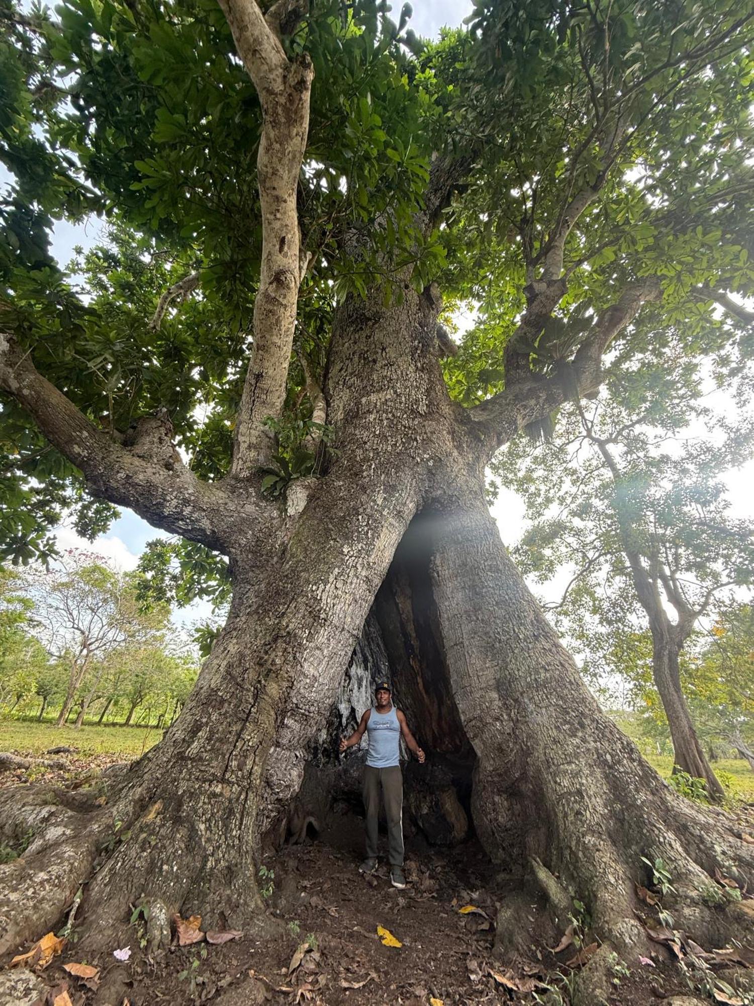 Las Cabanas De Mario Necocli Luaran gambar