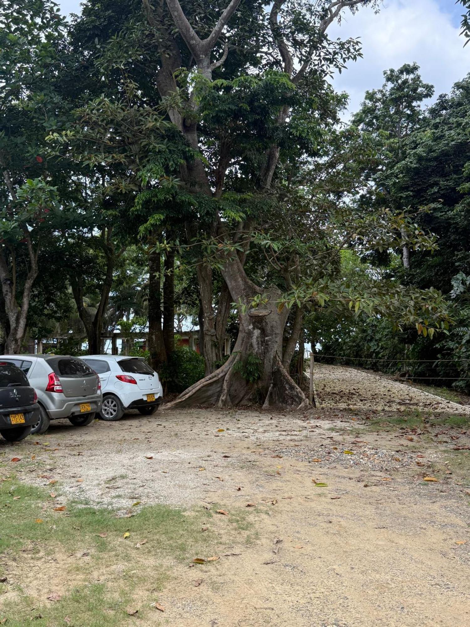 Las Cabanas De Mario Necocli Luaran gambar